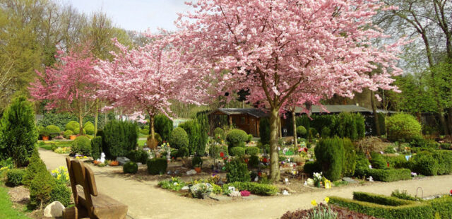 Friedhof in der Mitte unserer Gesellschaft: Anspruch und Herausforderung