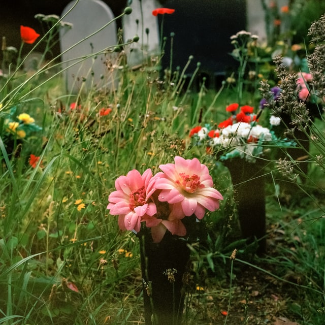 Naturfriedhof St. Ursula in Trappstadt