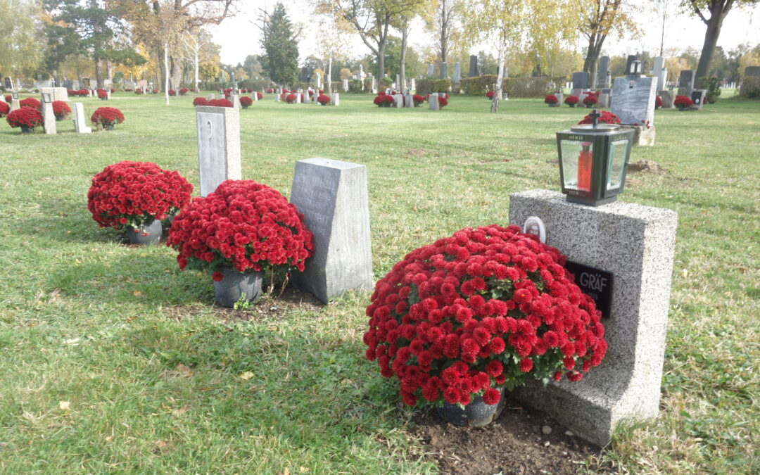 Die ‚Gruppe 40‘ am Wiener Zentralfriedhof