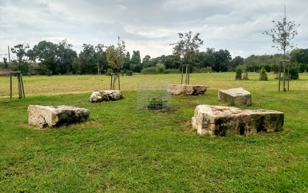 Den Wiener Zentralfriedhof individuell entdecken