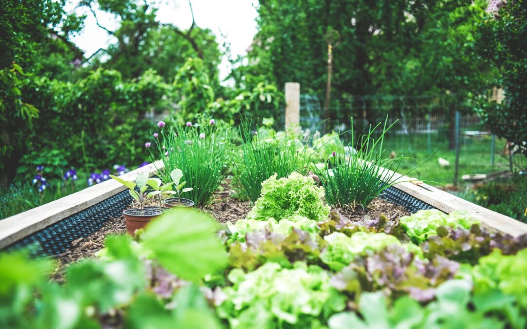 Urban Gardening auf Friedhöfen