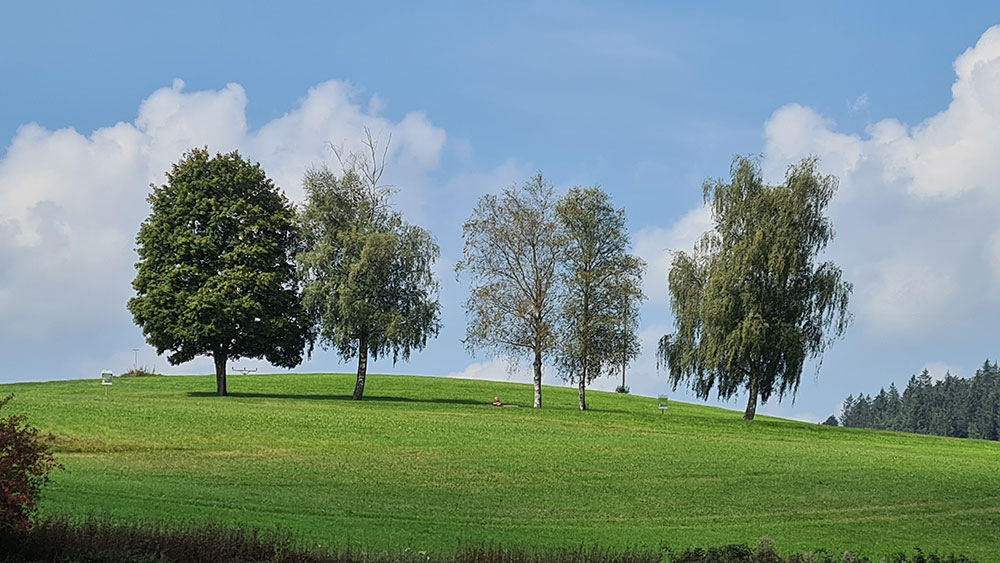 Auf ewig grün? Friedhöfe neu denken